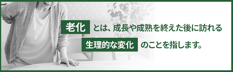 老化の4つの特徴とは？体に現れる変化や生活習慣のポイントを解説！